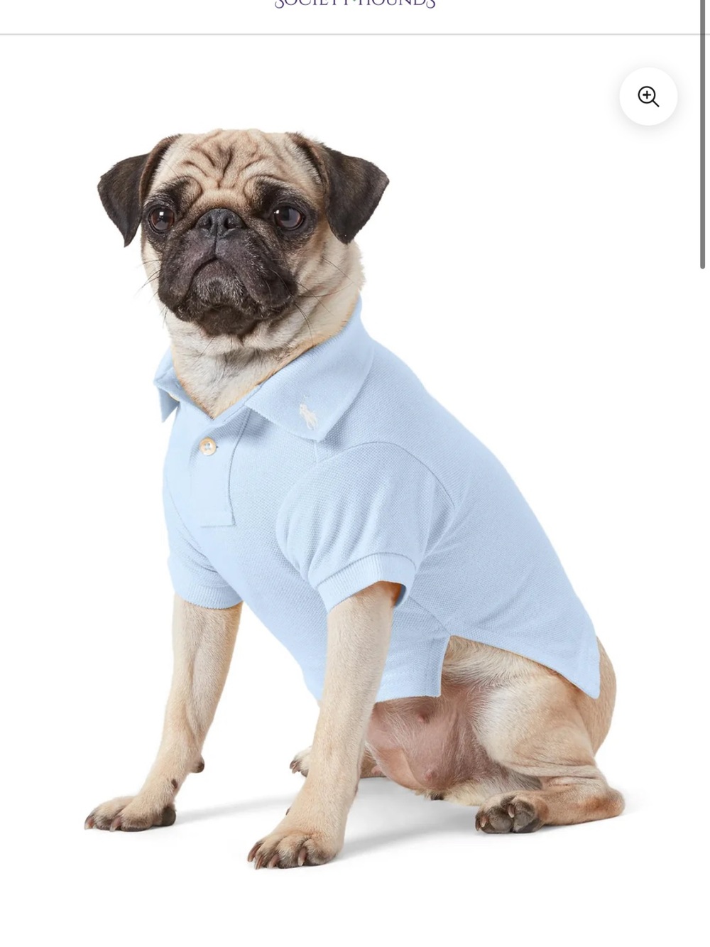 NWT Polo Ralph Lauren Polo Short Sleeve Dog Polo light blue